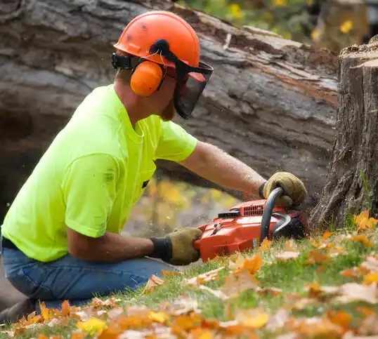 tree services Peak Place